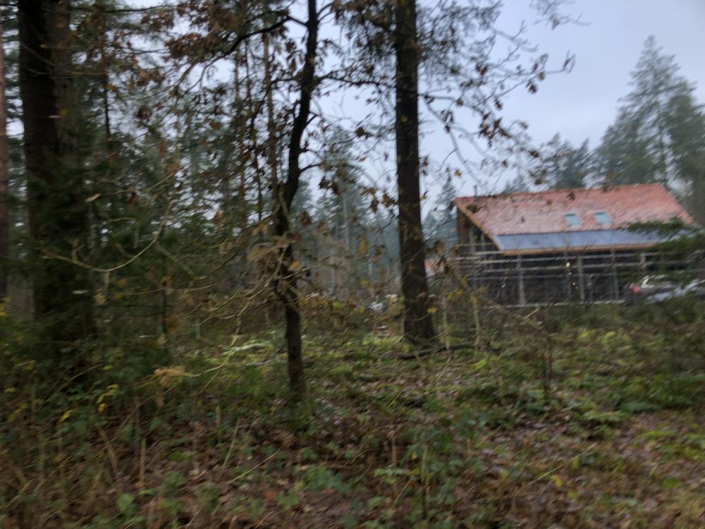 Nieuws - Projectendag met kantoor 2023 - Drie ecologische woningen in de Maarnse bossen